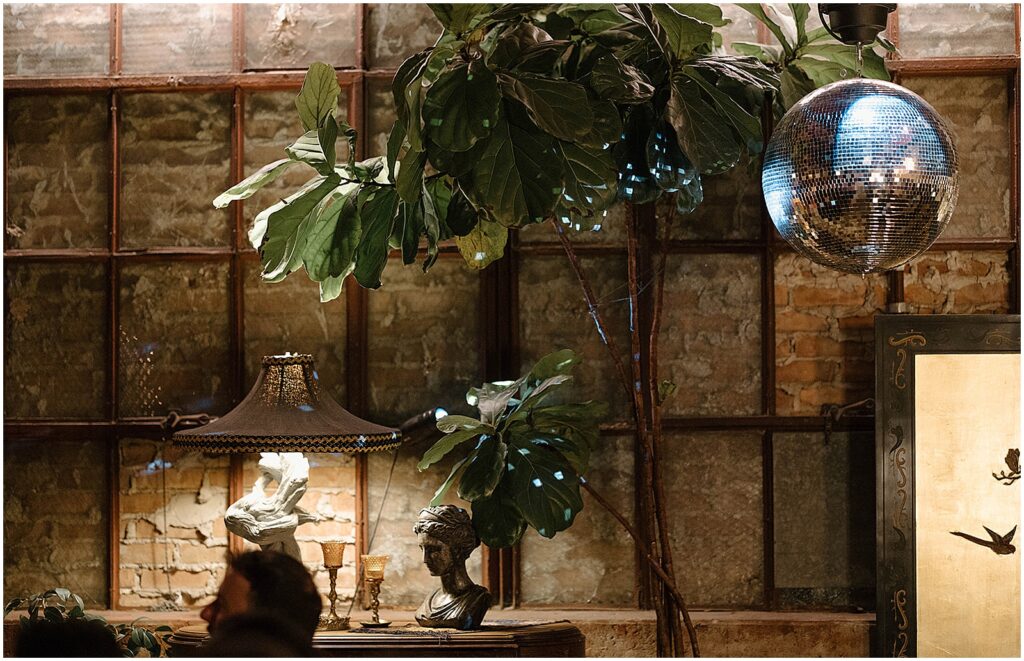 A large houseplant sits beside a table with a vintage lamp.