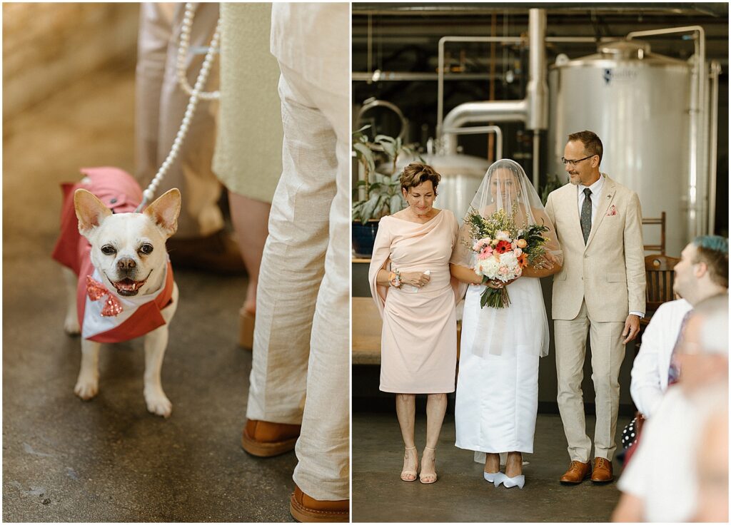 A dog stands behind a wedding party wearing a dog tux.