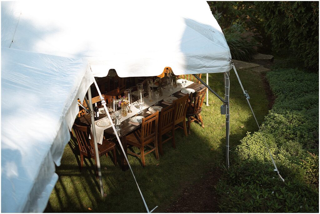 A white tent is set up in a sunny backyard.